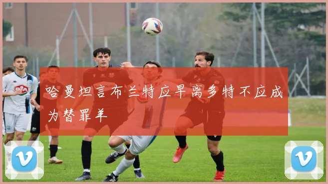 哈曼坦言布兰特应早离多特不应成为替罪羊